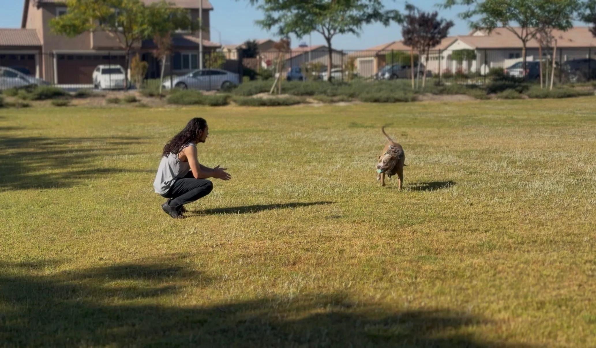 Victor playing with Cerberus