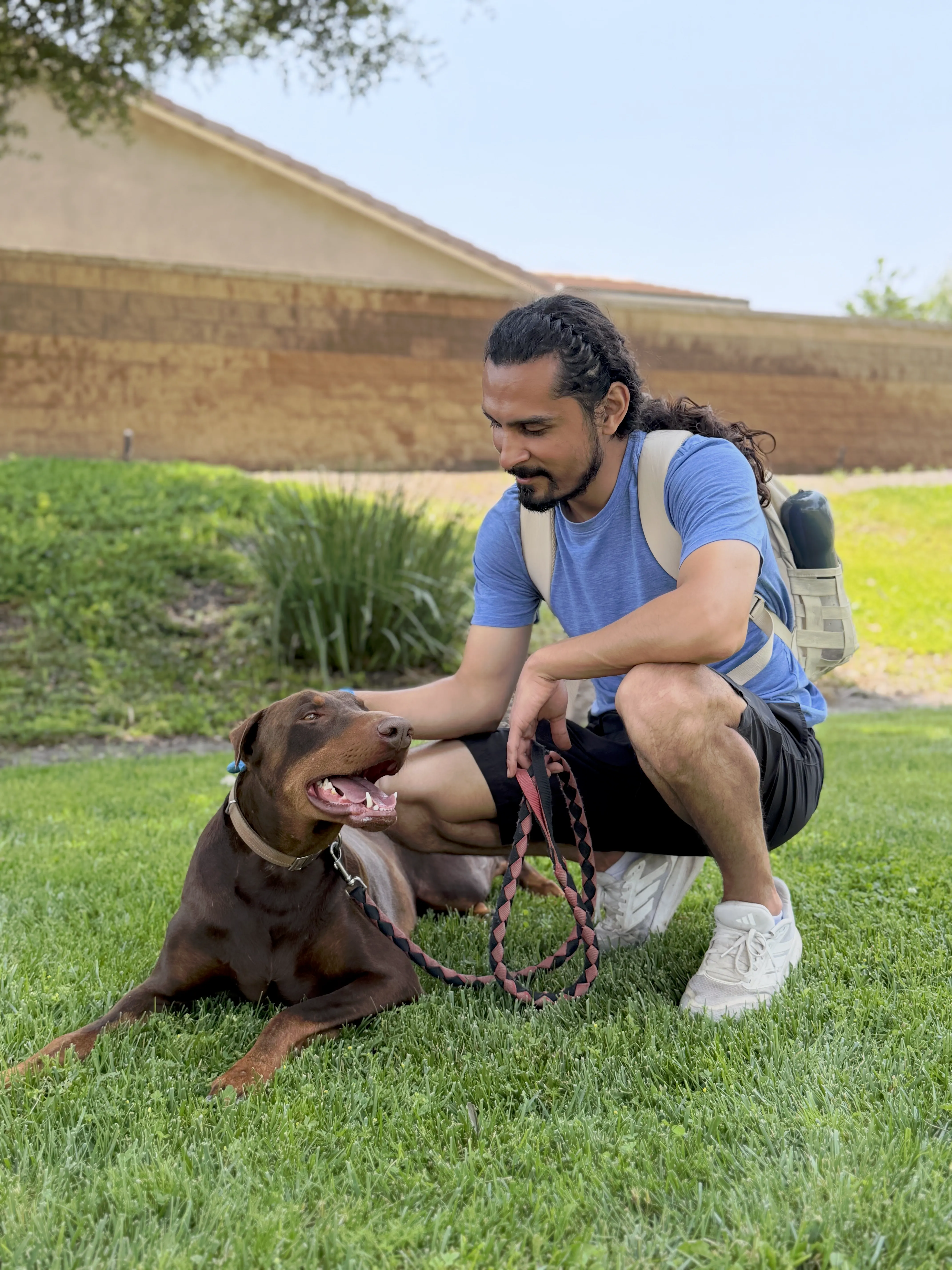 Advanced Board and Train dog training
