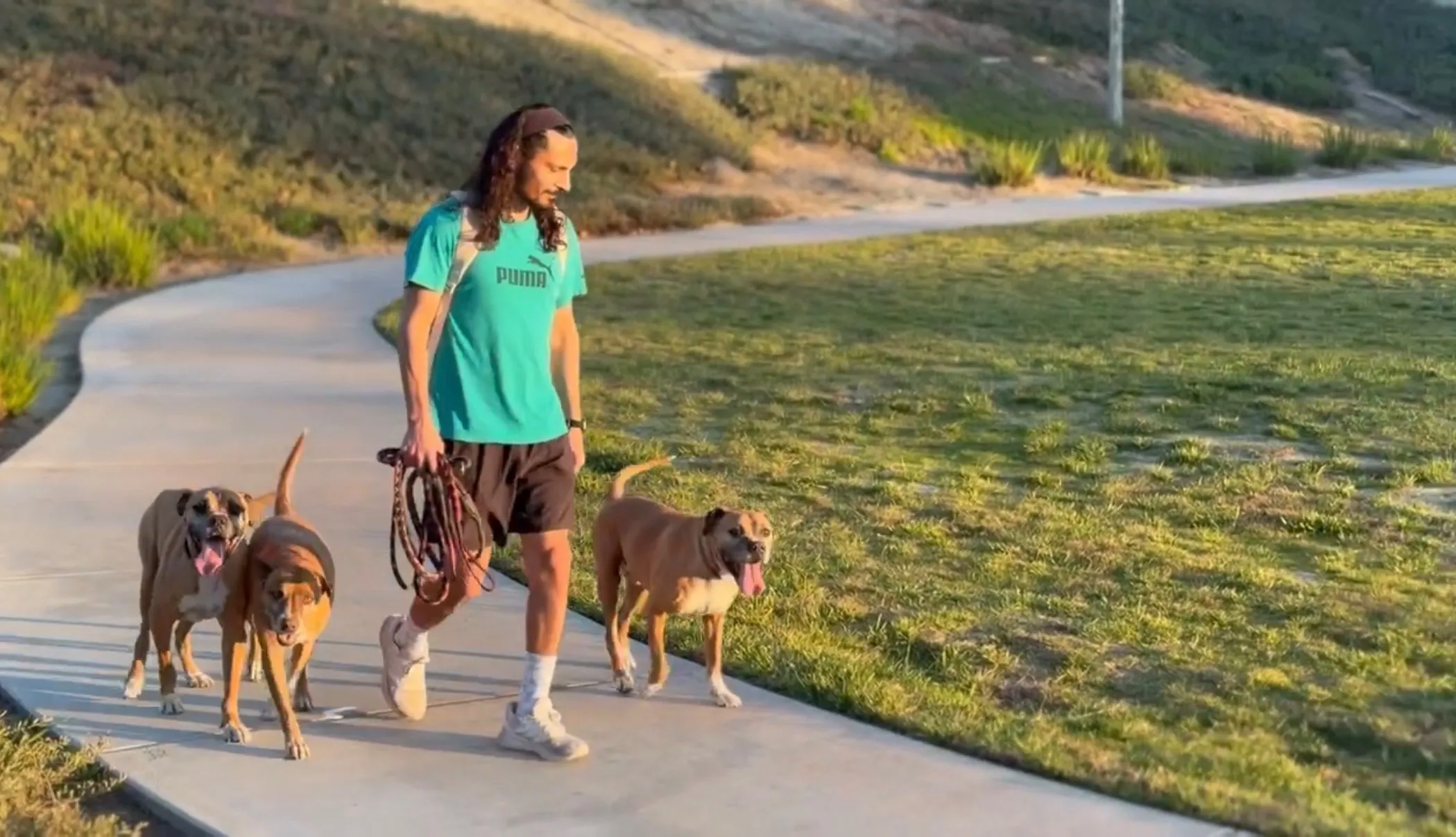Premier Private Lessons advanced dog training